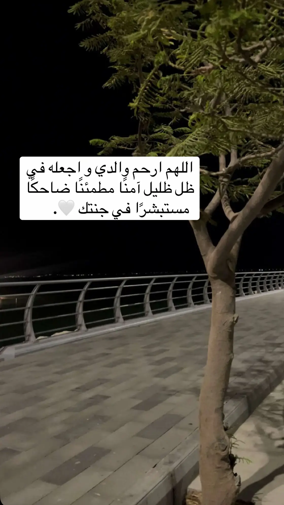 #صدقة_جارية_لوالدي_وللمسلمين_والمسلمات #صدقه_جاريه_لجميع_اموات_المسلمين #explore #foryou #اكسبلور 