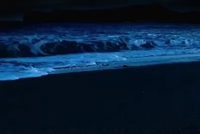 المُلْكُ للهِ والدُّنْيَا مُدَاوَلة وَما لحيٍّ عَلَى الأيَام تَخْليدُ #بدون_موسيقى 