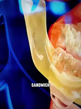 How Food Turns Into Poop – The Digestive Journey! #digestionprocess #howbodyworks #foodtopoop #MedicalFacts #foodintopoop #medical3danimation #medicalanimation 
