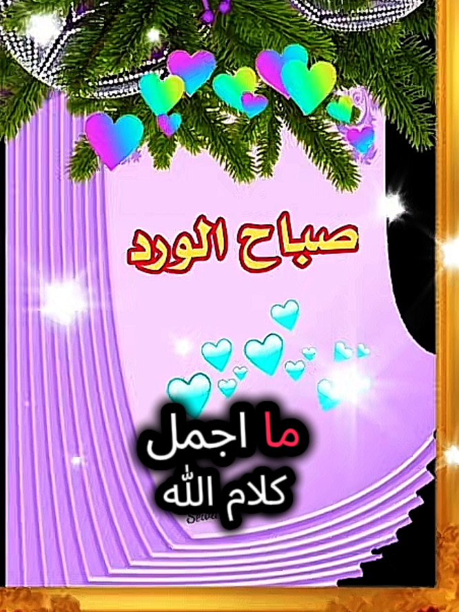#صباح_الورد_لكل_الأحبة #فيرال_فيديوفوريو #❤️❤️❤️❤️❤️❤️ 