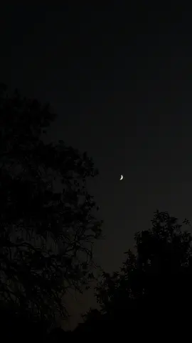 ہم اپنے پسندیدہ انسان کے معاملے میں بڑے نازک ہوتے ہیں۔🖤