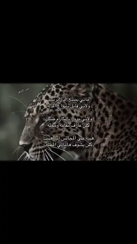 يهمني رئيكم 👍🏻#بيت_الشعر #قصيده #سبحان_الله_وبحمده_سبحان_الله_العظيم #Relationship #anime 
