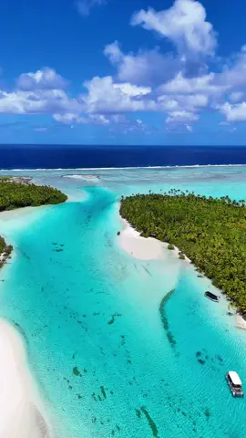 Aitutaki vibes 🐬🏝️🌸 #cookislands #nekedbelegyen #aitutaki #fyp #utazás 