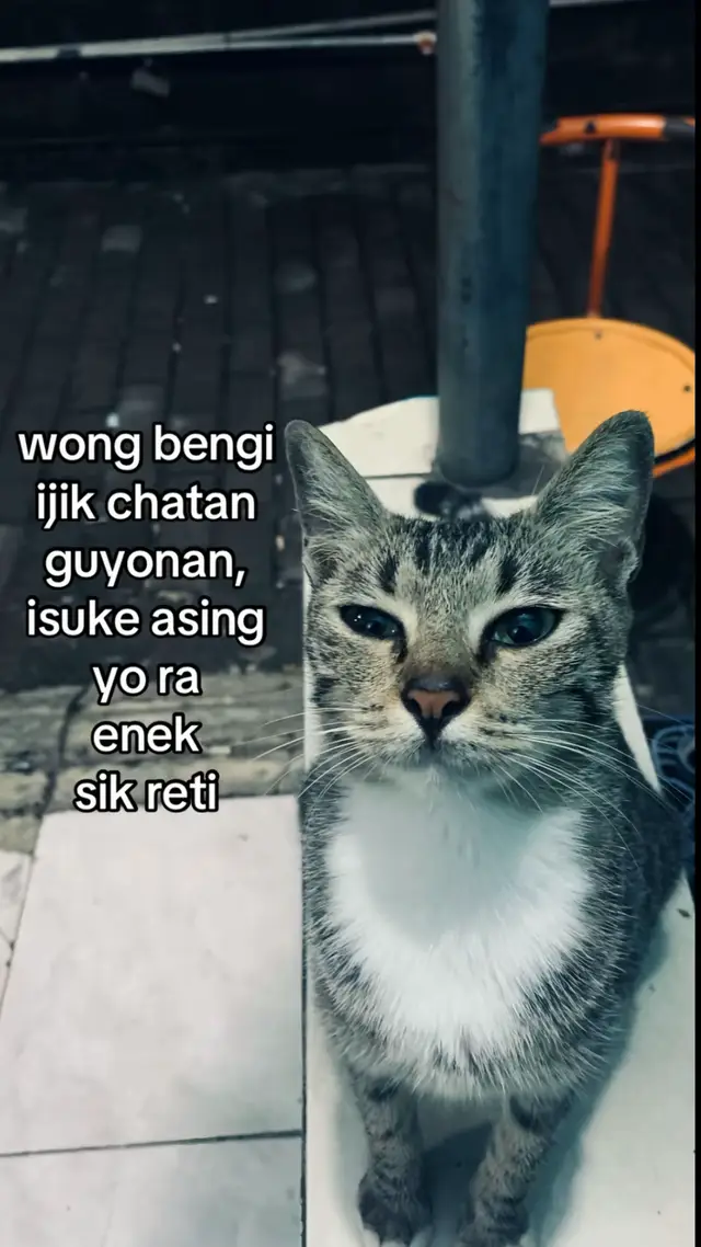 hts kok njaluk kepastian, yo ajurr🙂#xyzbca #fyp #galaubrutal #jawapride #xyzbca 
