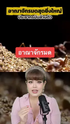 อาณาจักรมดสุดยิ่งใหญ่ที่มีประชากรนับล้านตัวใต้ดิน !!! #ant #animals #fyp #fypage #pepkemika 