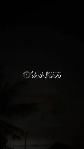 سورة تبارك كاملةً للقارئ ؛ سعود الفايز #سعود_الفايز #سورة_الملك #راحه_نفسيه #quran_alkarim #quran 
