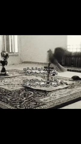 #شيلات #قصيد #viral #foryou 