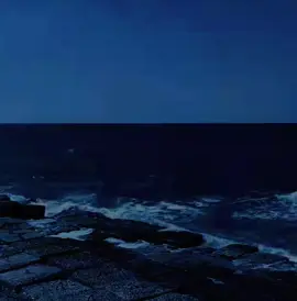 وَصَنَعَت مِنَ اعواد صَبْري مُرَكَّبا  يَا لِلْمَرَاكِب حِينَ تَخْذُل نَوْحهَا.....