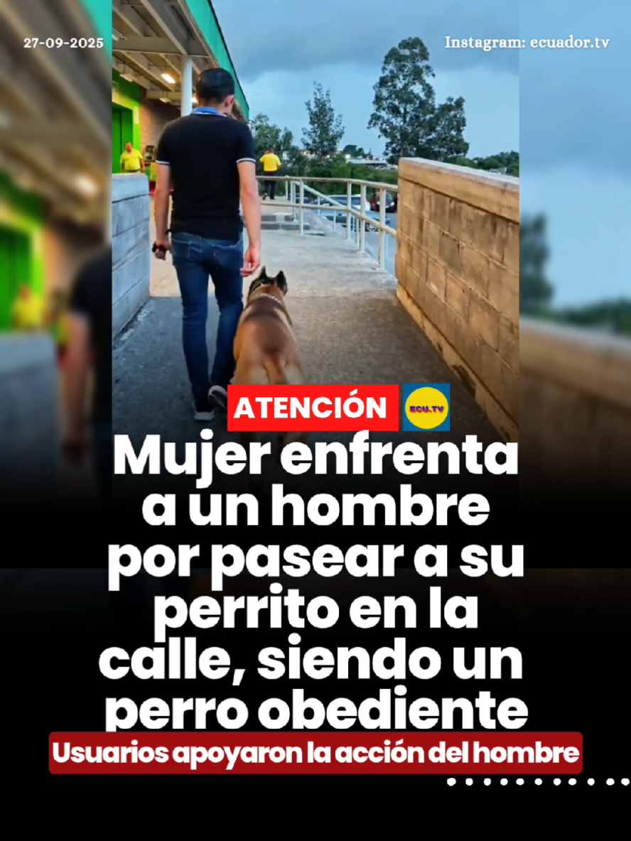 #ATENCIÓN | Mujer enfrenta a un hombre por pasear a su perrito en la calle, siendo un perro obediente 🚨. Un curioso incidente en la vía pública ha generado comentarios y reacciones en redes sociales. Una mujer enfrentó a un hombre por pasear a su perrito en la calle, a pesar de que el animal se mostraba completamente obediente y tranquilo. Lejos de generar rechazo, la acción del hombre recibió el apoyo de numerosos usuarios, quienes destacaron la buena conducta del perrito y la paciencia del dueño frente a la confrontación. El video del momento se volvió rápidamente viral, provocando debate y ternura entre los internautas.