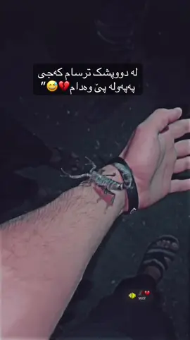 #دووپشکی_رەش🦂 #هیوادارم_بەدڵتابێ #ئەکتیڤ_سفڕە_یەک_تۆز_ئەکتیڤ_بن_دڵەکان😻💔 #ئەکتیڤبن🥀🖤ـہہـ٨ــہ 
