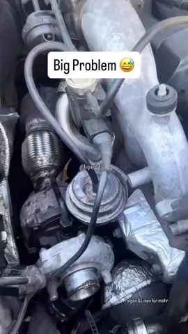 🤣🤣🤣