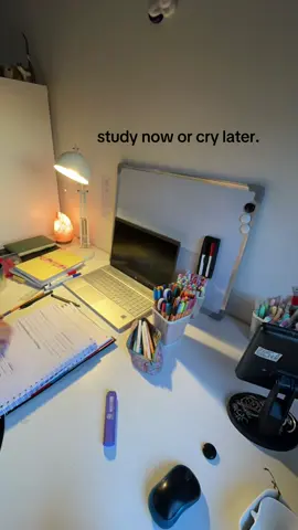 study now or cry later toxic study motivation #studytok #motivation #studymotivation #toxicmotivation #studywithme 