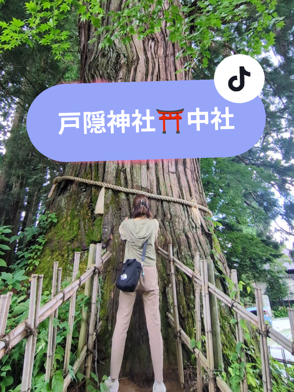 中社には境内に滝があったよ( ˙³˙)⇝💕それと、入口の鳥居前の杉の木のパワーがドバドバだった！！！行ったら、是非触れてきて欲しい😍😍😍 #パワースポット #長野県 #戸隠神社 #fyp #japan 