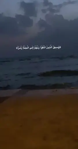 اللهم إنا نسألك الجنة ونعيمها                     #علي_جابر #قرآن#راحة_نفسيه #🕊️ #fyp 