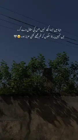 میں تمہیں یہ بتا سکوں کہ تم مجھے کتنی عزیز ہو۔🥺❤️🤌🏻