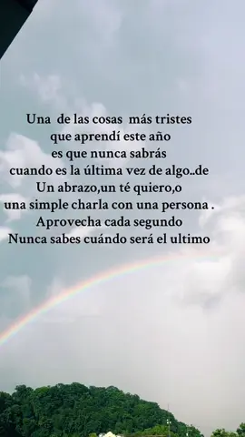 #🕊️