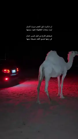 #حلاوة_اللقاء #تصويري #الابل🐪 #اكسبلوررر #لايكات 
