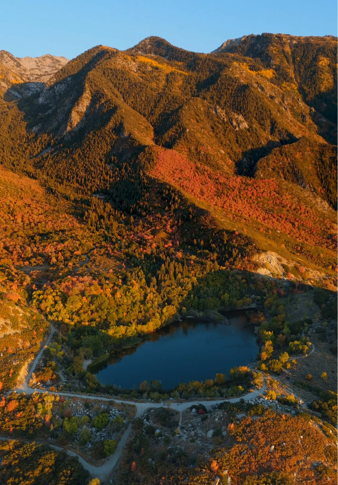 yes, and I fall in love every time ◡̈ Utah foliage as of 9/26 #utah #fallcolors #fall #fallinloveagainandagain #fall2025 
