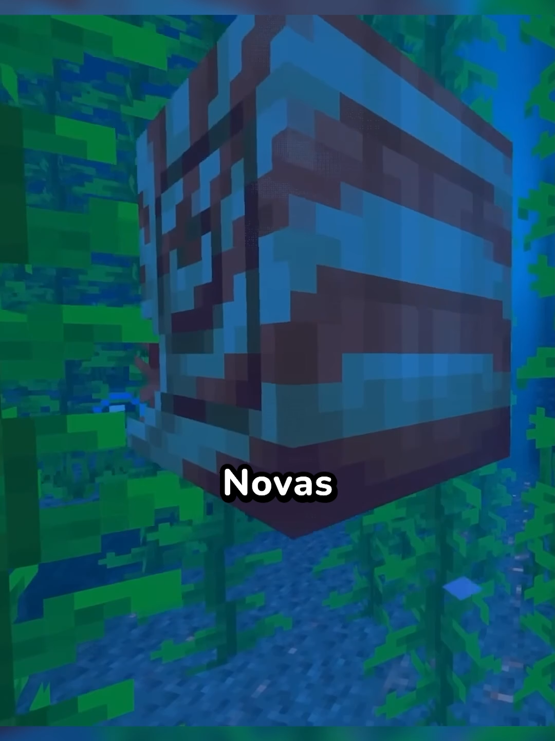 Novas criaturas, itens, armaduras e armas na atualização mais recente do Minecraft.