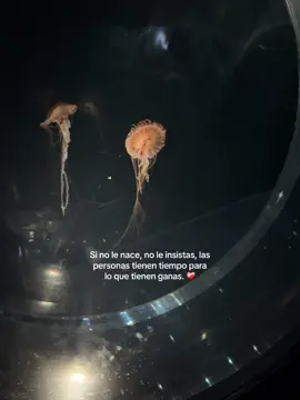 Tú vas primero ❤️‍🩹  #amorpropio #paratiiiiiiiiiiiiiiiiiiiiiiiiiiiiiii 