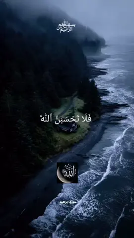 #القرآن_الكريم🌺🤲 #راحه_وطمأنينه_للقلب #اذكروا_الله_يذكركم #اكتب_شيء_تؤجر_عليه #صلى_على_رسول_الله_صل_الله_عليه_وسلم 
