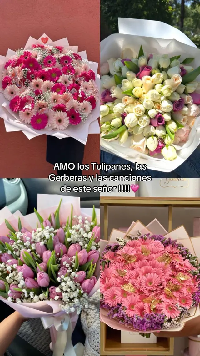 Amo💘#tulipanes #gerberas #joansebastian #ramos #fvpppppppppp 