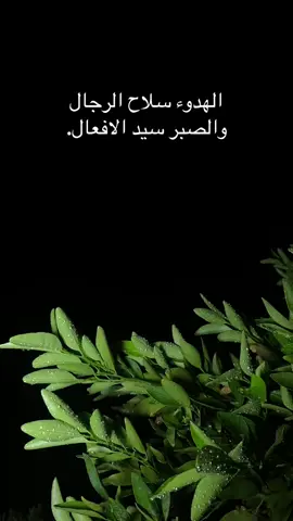 #حسين_التگريتي #تكريت #العلم #الحاوي #عشوايات 