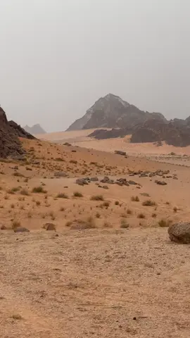 #خالد_الشيخ #حائل 
