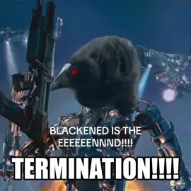 DAAAAAYYYUUUMMMMN #dayummm #damnation #memestiktok #metallica #goofybroo #fyp #damnbird 