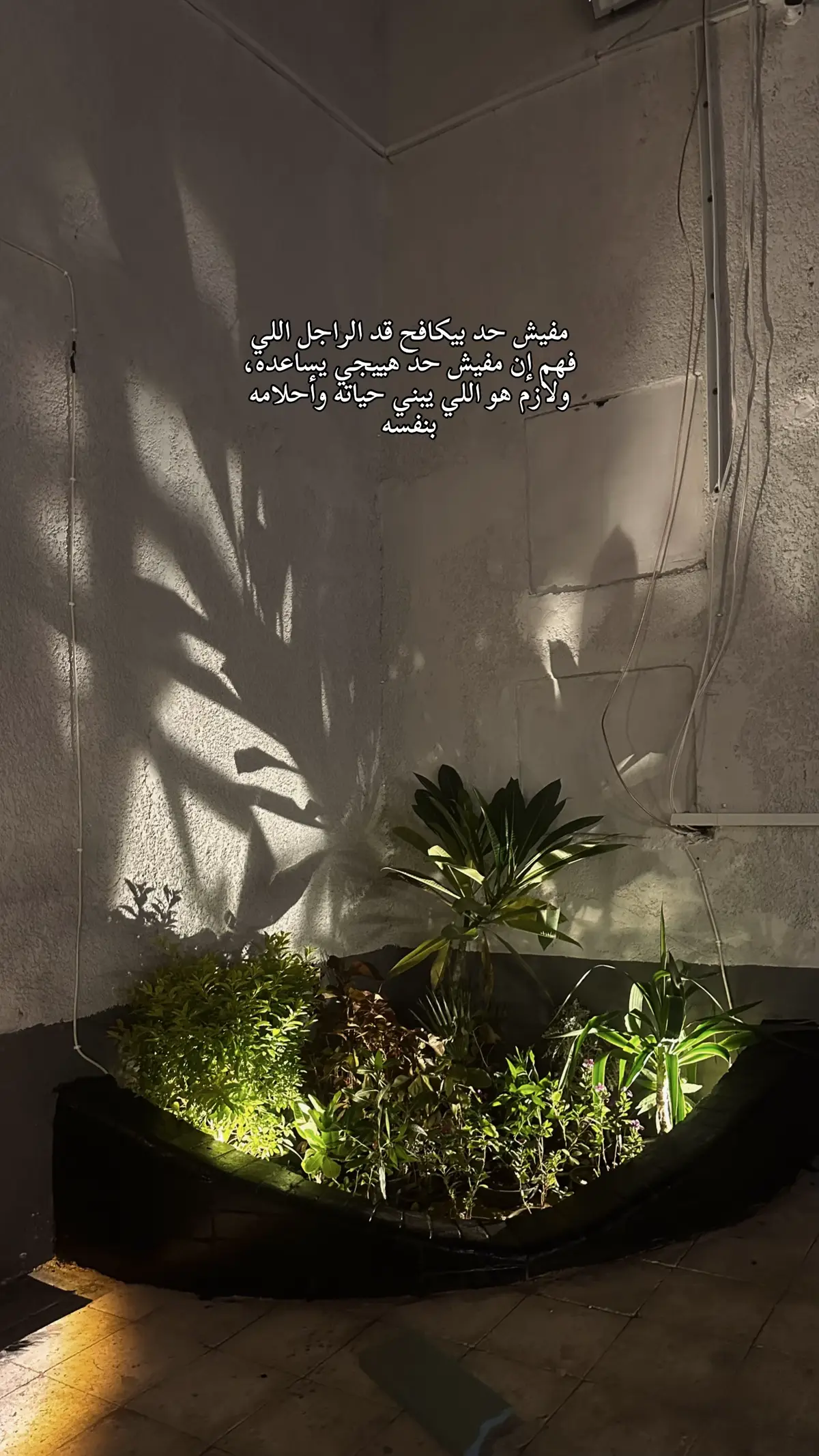 #احمد_العاصي #foryoupage #viralvideo #viral 