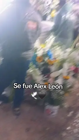 Se fue🕊🖤#Alex #🖤🕊 #descanzaenpaz🕊️😭 