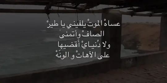 #شيعه_الامام_علي #تصاميمي #fyp #الشعب_الصيني_ماله_حل😂😂 #باسم_الكربلائي 