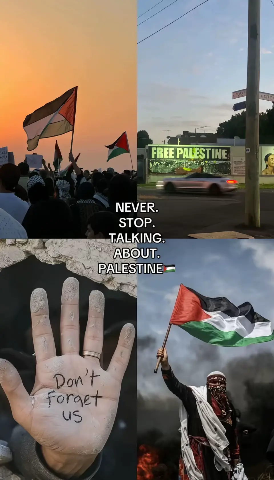 #fyyyppppp #palestina#🍉🍉🍉🍉 