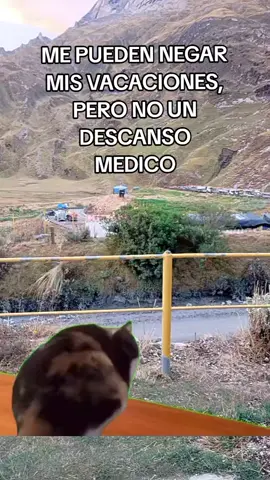 #Meme #MemeCut #CapCut 