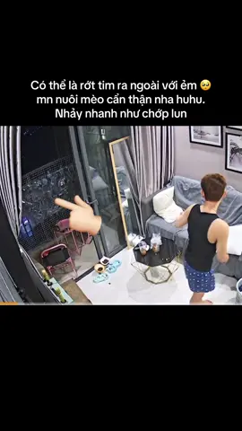 Tim hẫng đi 1 nhịp với ẻm luôn 😭 cả nhà nuôi mèo nhớ để ý mấy bé nha 