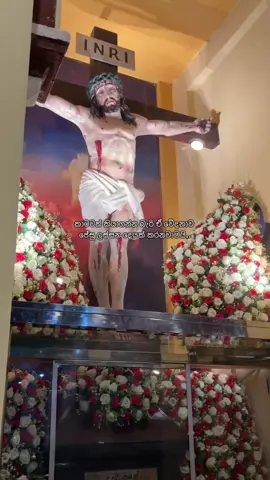 කාටවත් පේන්නේ නැති ඒ දුක ජේසු දන්නවා.. ඉතින් බලාපොරොත්තු නැති කරගන්න එපා.. මොකද ඒක තමා ඔයාගෙ ජීවිතයෙ ලස්සනම කාලයට ආරම්භය.. #marawila #kurusapalliya #marawilakurusapalliya #jesuslovesyou 