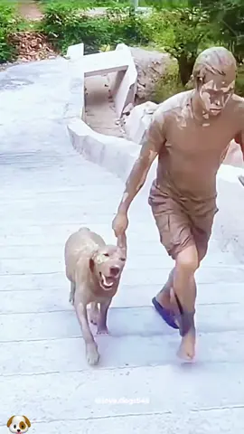 When the walkie turns into a wrestle. 🥴 #DogWalkFail #SquirrelProblems #DogLife #funnyvideos #doglover 