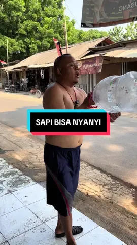 Nyanyi#sapigiras #purwadadi #subang 