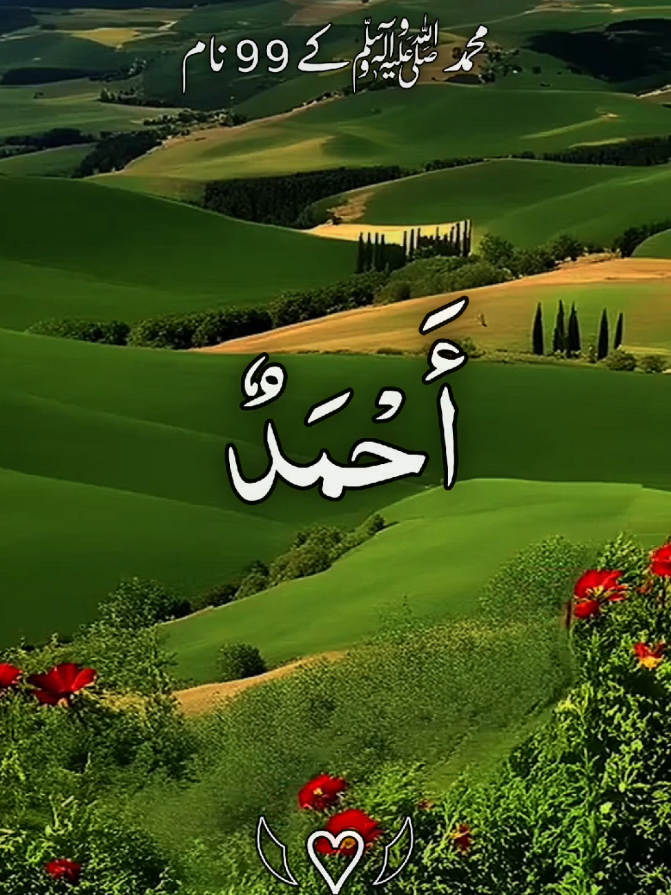 #اسماءالنبيcomplete #سبحان_الله_الحمدلله_لااله_الا_الله #ارح_سمعك_بالقران #راحة_نفسية #درودشریف_پڑھ_کر_آگے_شیئر_ضرور_کرے @🌹مکمل قرآن پاک 🌹 @꧁𝗛𝗼𝗹𝘆༺ قرآن꧂ @TikTok UK @TikTok @tiktok creators 
