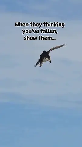 AGILA NG DAVAO