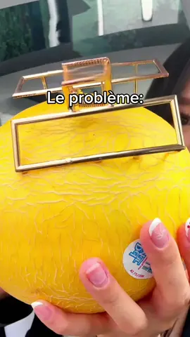 La solution 🤩🥰… #pinceacheveux #cheveux #hairstyle #france 