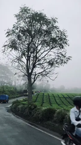 vibes kerinci setelah hujan