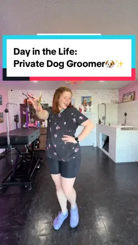 Day in the Life: Private Dog Groomer🐶✨ Who’s your favorite pup? #doggrooming #doggroomer #SmallBusiness #dayinthelife #fyp 