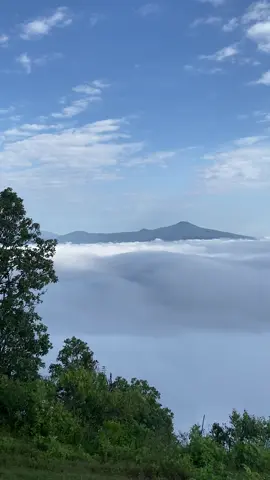 Heaven 💙 Pátzcuaro Michoacán  #estribograndepatzcuaro #patzcuaropueblomagico #patzcuaromichoacan #patzcuaro #viral 