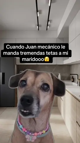 #MemeCut #MemeCut #Meme #MemeCut 