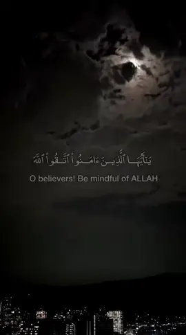 #في هذا اليوم #عبدالولي_الاركاني #abdulwali_alarkani @walialarkani