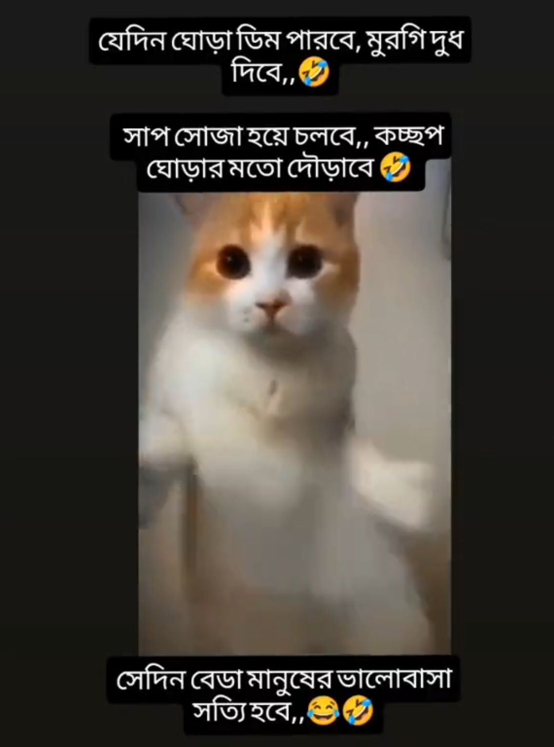 #সিলেটি_ফুরি #foryou #foryoupage❤️♥️ #satonni 