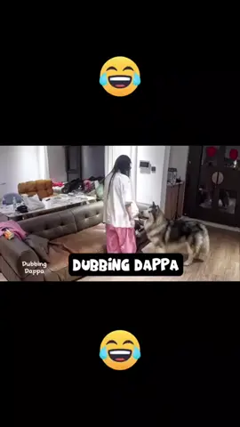 Mummyyy_🤣_#funny_#dog_#shorts_#cat_#shortsfeed_#animals_#dubbingdappa_#dogshorts_#dogvideos_#pets