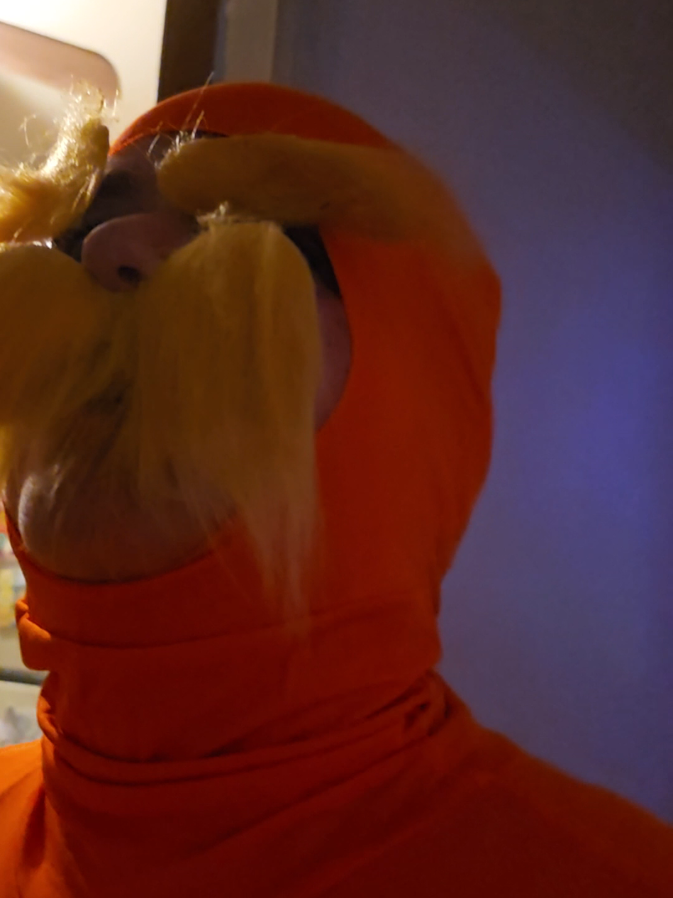 I think he likes it 😂😂😂 #taylorswift #ts12 #mjr #lorax #swiftie 