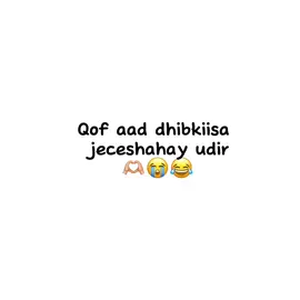 lovv sarr😂❤️#fyp #viraltiktok #somaliatiktok #kenyntiktok🇰🇪 #m0h4m3d06 